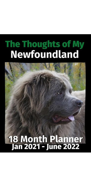 Thoughts of My Newfoundland