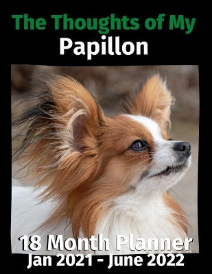 Thoughts of My Papillon