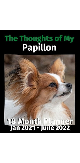 Thoughts of My Papillon