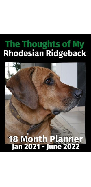 Thoughts of My Rhodesian Ridgeback