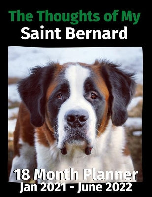 Thoughts of My Saint Bernard