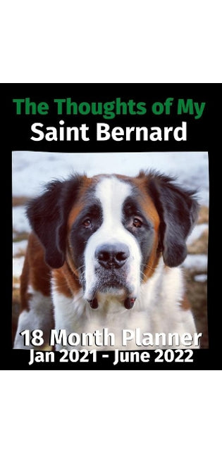 Thoughts of My Saint Bernard