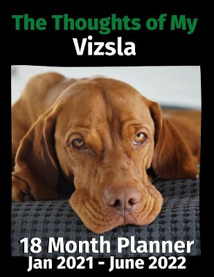Thoughts of My Vizsla