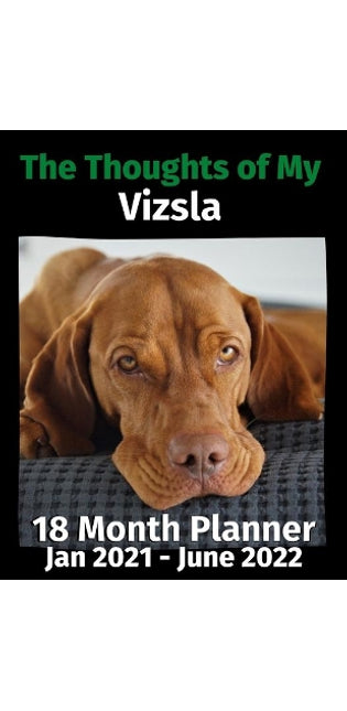 Thoughts of My Vizsla