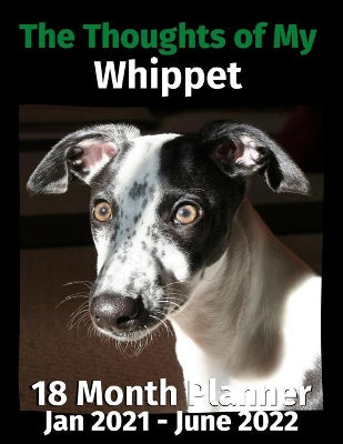 Thoughts of My Whippet