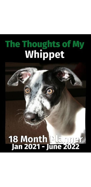 Thoughts of My Whippet