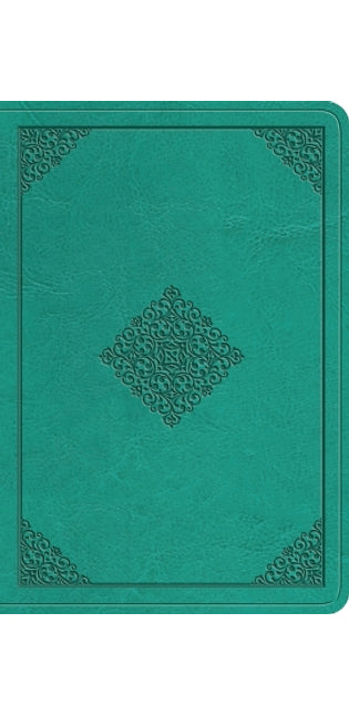 ESV Value Large Print Compact Bible