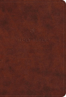 ESV Value Large Print Compact Bible