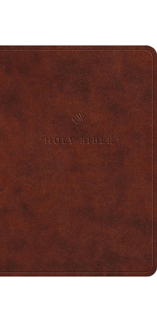ESV Value Large Print Compact Bible