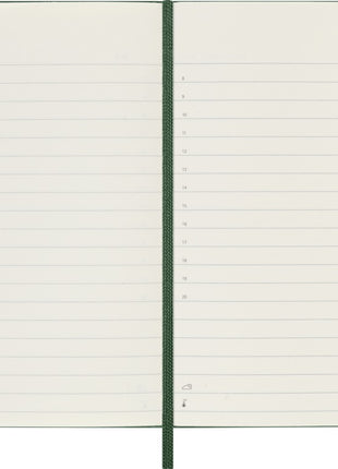 2026 12-month Myrtle Green Pocket Daily Hardcover Diary