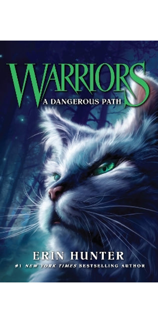 Dangerous Path