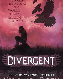 The Divergent Series