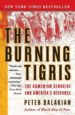 Burning Tigris