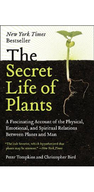Secret Life of Plants