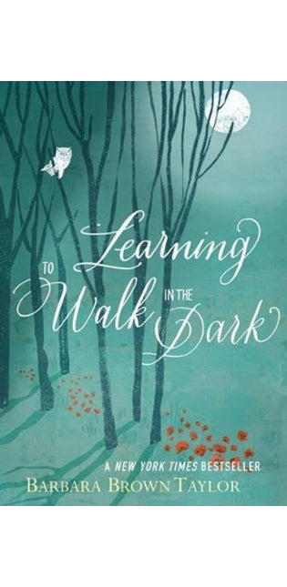 Learning to Walk in the Dark