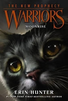 Warriors