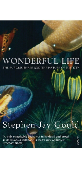 Wonderful Life