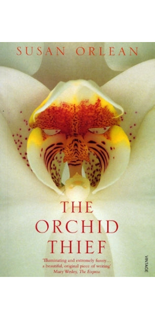 Orchid Thief