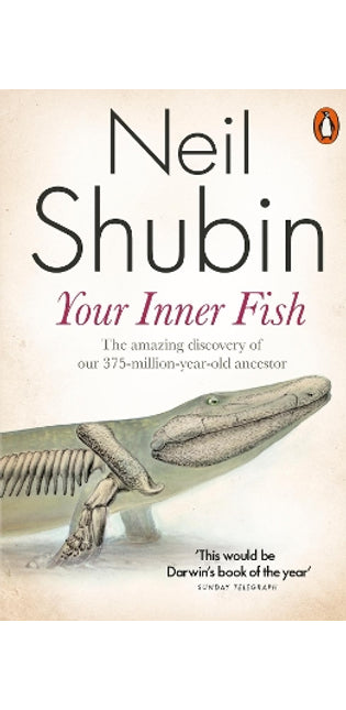 Your Inner Fish