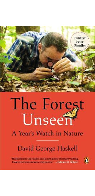 Forest Unseen