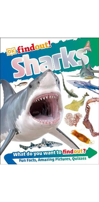 DKfindout! Sharks