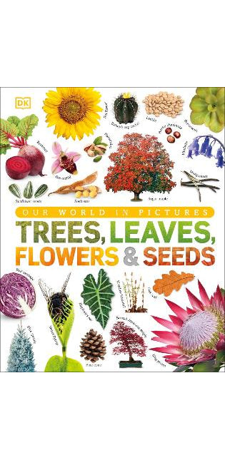 Our World in Pictures: Trees, Leaves, Flowers & Seeds