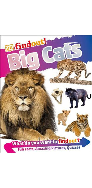 DKfindout! Big Cats
