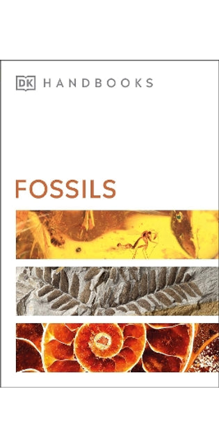 Fossils
