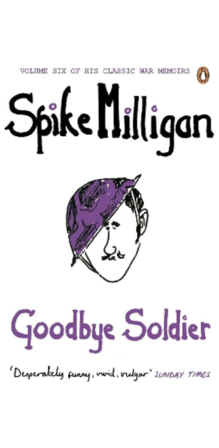 Goodbye Soldier