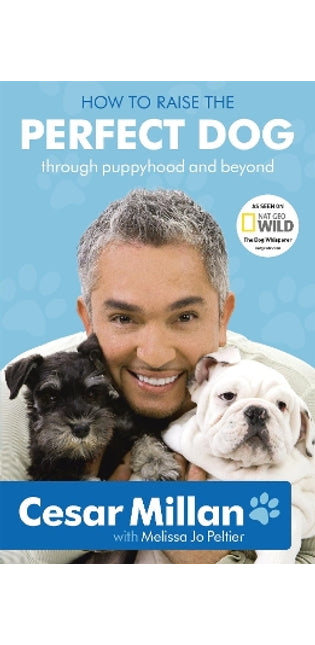 How to Raise the Perfect Dog