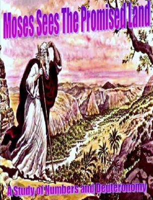 "Moses Sees the Promised Land" A Study of Numbers and Deuteronomy