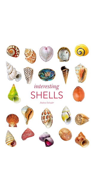 Interesting Shells