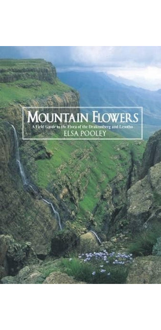 Mountain Flowers