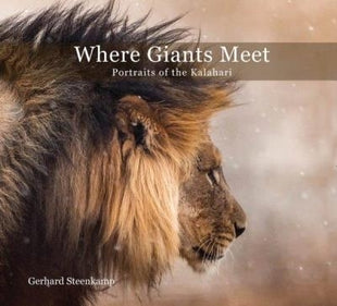 Where giants meet