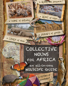 Discovering The Pride of South Africa
