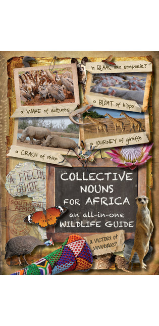 Collective Nouns for Africa