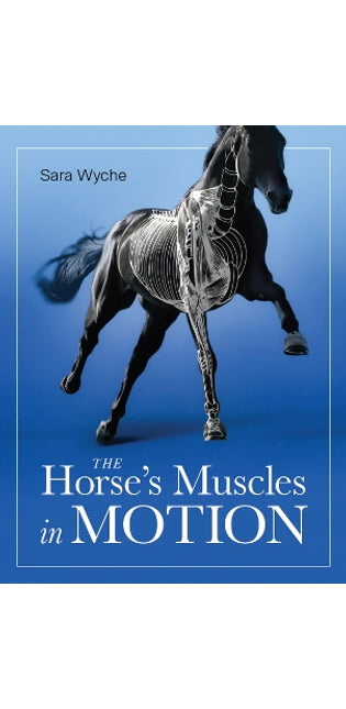 Horse's Muscles in Motion