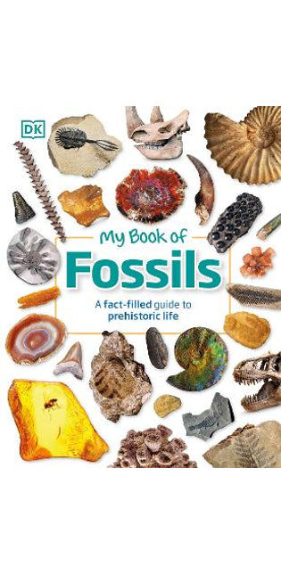 My Book of Fossils