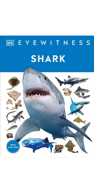 Eyewitness Shark