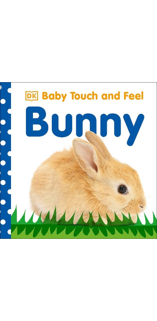 Baby Touch and Feel: Bunny