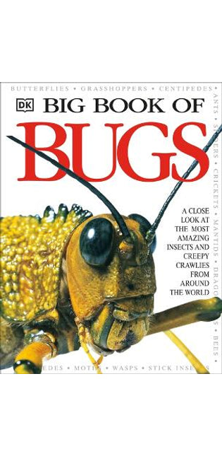 Big Book of Bugs