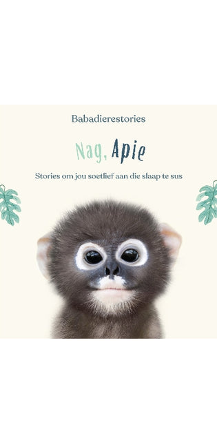 Babadierestories: Nag, Apie