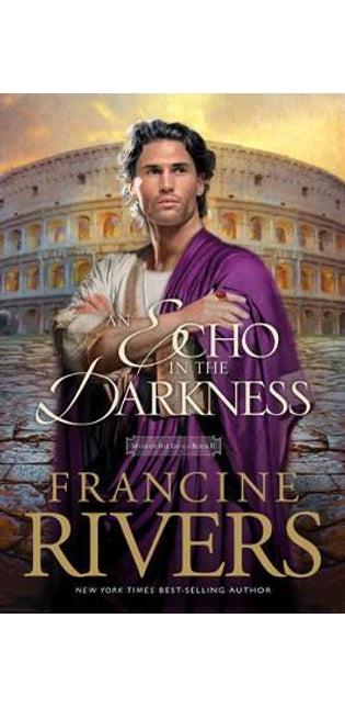 Echo in the Darkness