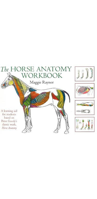 Horse Anatomy Workbook