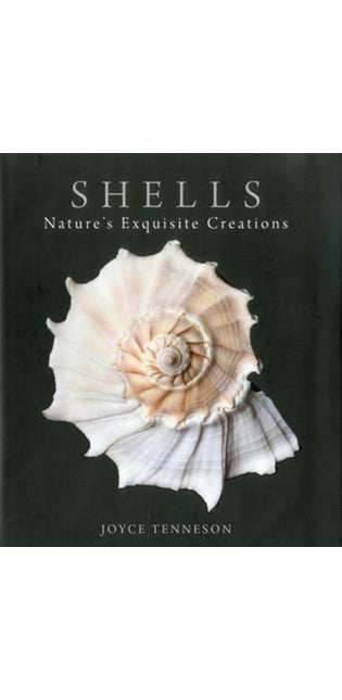 Shells