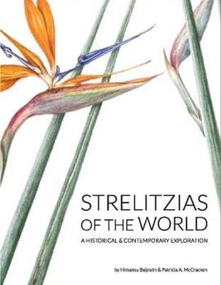 Strelitzias of the world
