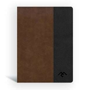CSB Men of Character Bible, Brown/Black LeatherTouch
