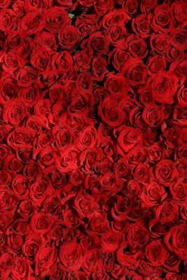 Red Roses