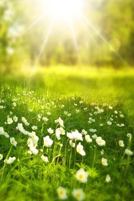 Spring