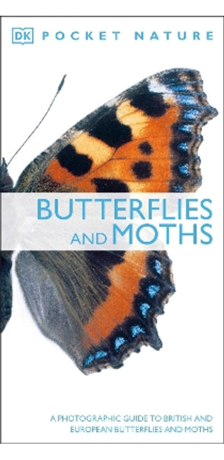 Butterflies and Moths